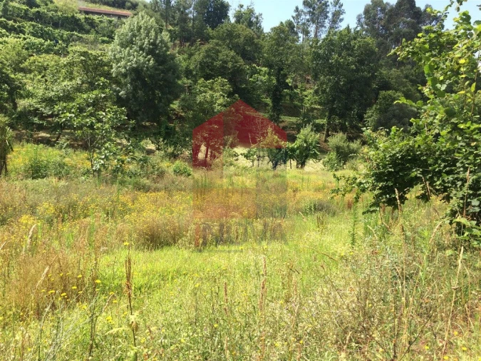 Terreno para Venda em Sande, Vilarinho, Barros e Gomide Foto 5