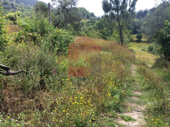 Terreno para Venda em Sande, Vilarinho, Barros e Gomide Foto 8