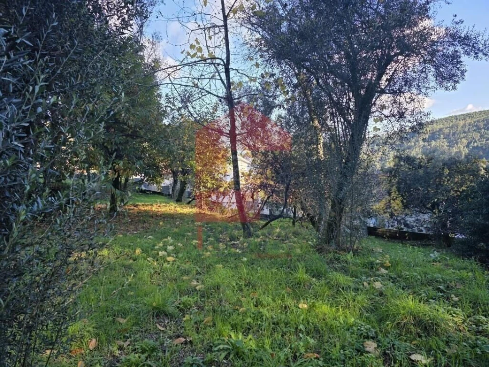 Terreno para Venda em Carreiras (São Miguel) e Carreiras (Santiago) Foto 13
