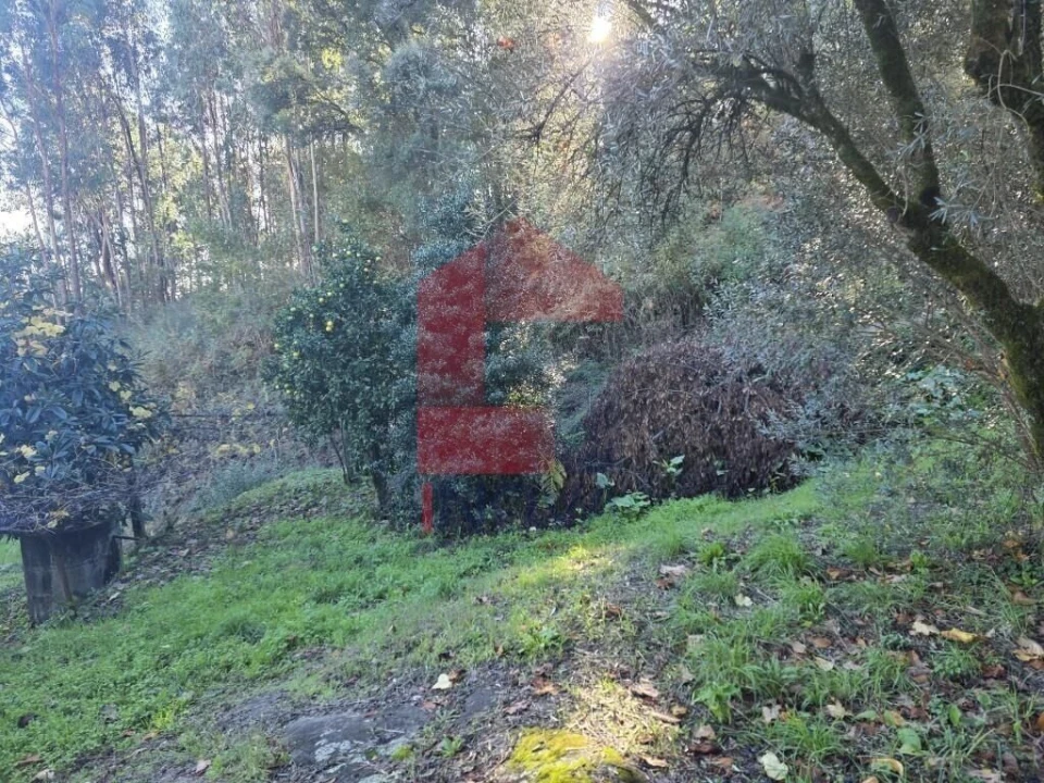 Terreno para Venda em Carreiras (São Miguel) e Carreiras (Santiago) Foto 32