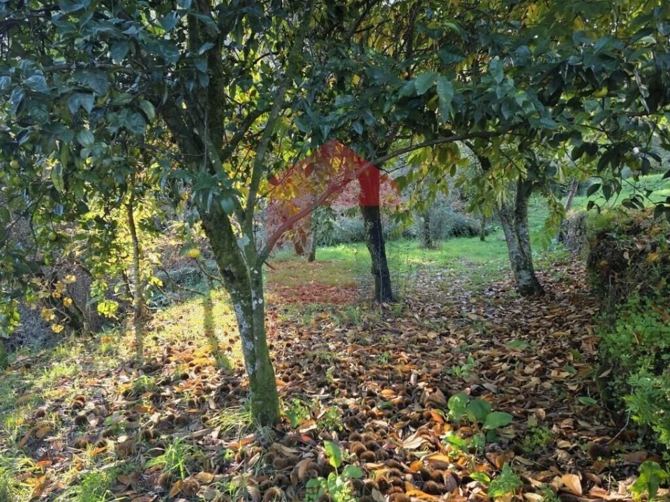 Terreno para Venda em Carreiras (São Miguel) e Carreiras (Santiago) Foto 8