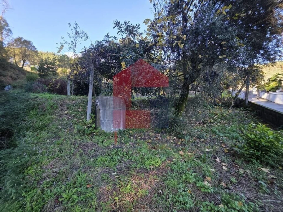 Terreno para Venda em Carreiras (São Miguel) e Carreiras (Santiago) Foto 4