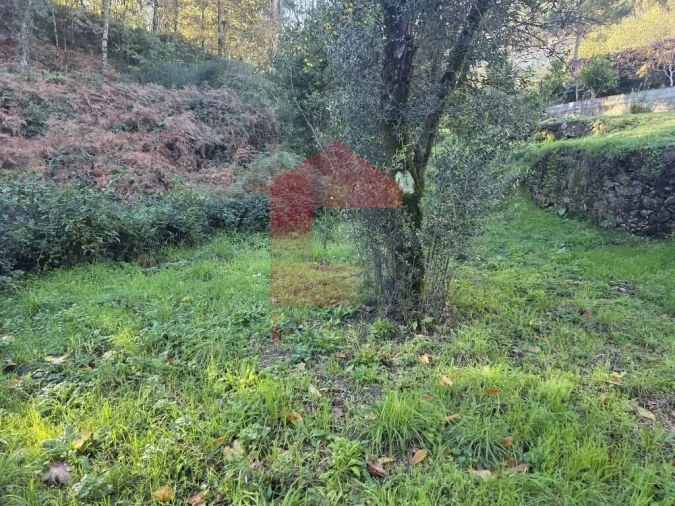 Terreno para Venda em Carreiras (São Miguel) e Carreiras (Santiago) Foto 24