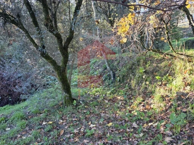 Terreno para Venda em Carreiras (São Miguel) e Carreiras (Santiago) Foto 23