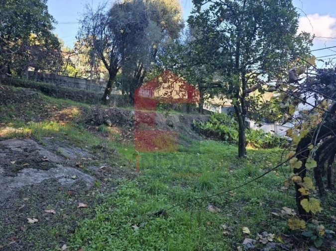 Terreno para Venda em Carreiras (São Miguel) e Carreiras (Santiago) Foto 27