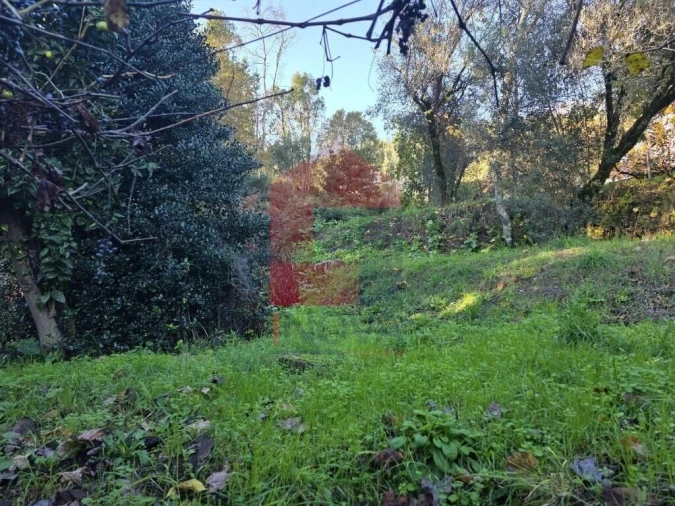 Terreno para Venda em Carreiras (São Miguel) e Carreiras (Santiago) Foto 30