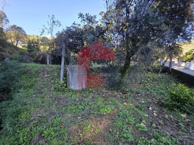 Terreno para Venda em Carreiras (São Miguel) e Carreiras (Santiago) Foto 2