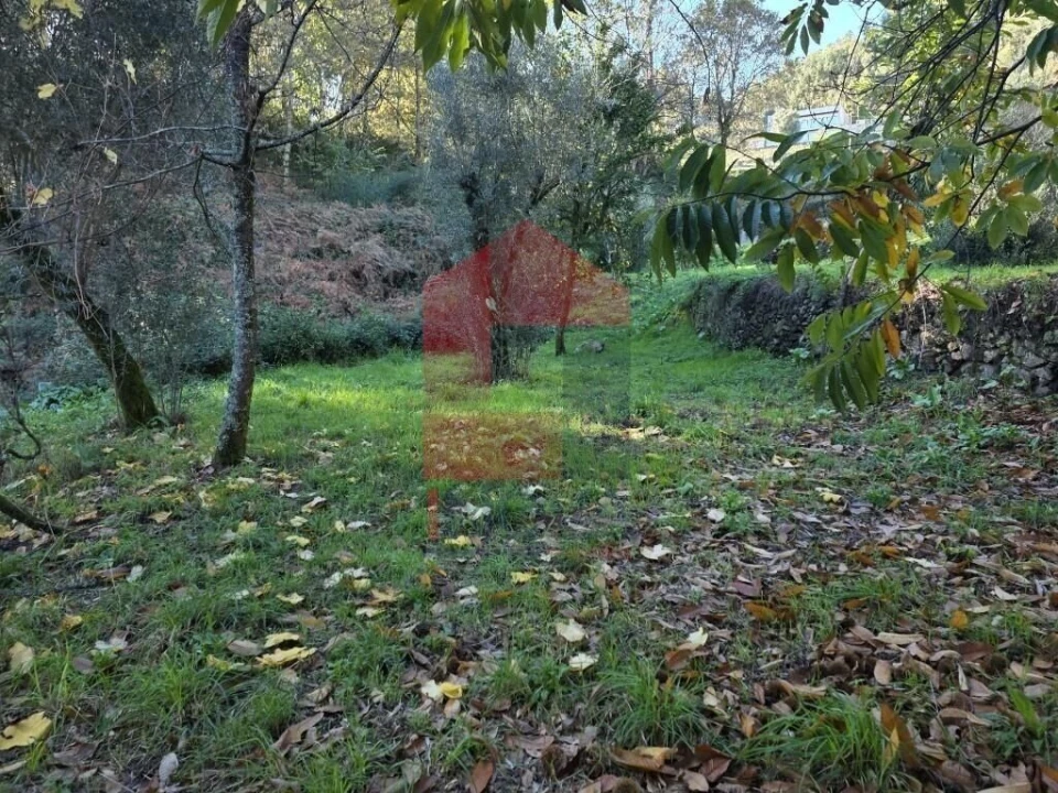 Terreno para Venda em Carreiras (São Miguel) e Carreiras (Santiago) Foto 16