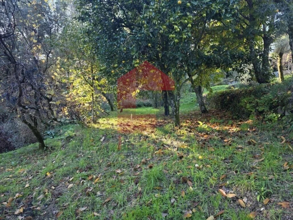 Terreno para Venda em Carreiras (São Miguel) e Carreiras (Santiago) Foto 17