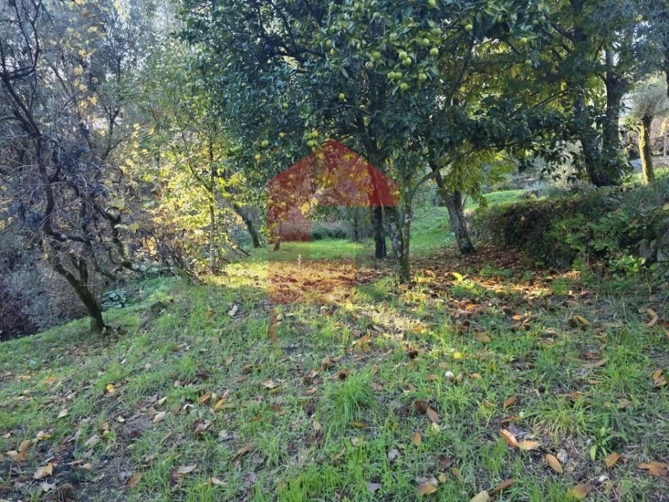 Terreno para Venda em Carreiras (São Miguel) e Carreiras (Santiago) Foto 18