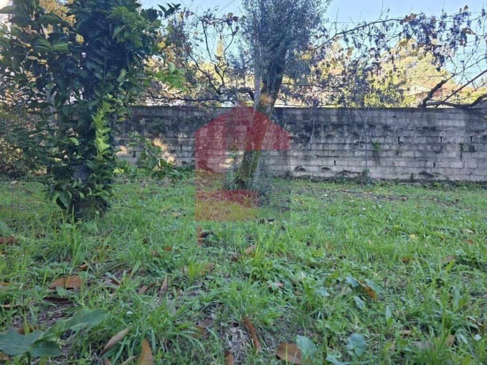 Terreno para Venda em Carreiras (São Miguel) e Carreiras (Santiago) Foto 15