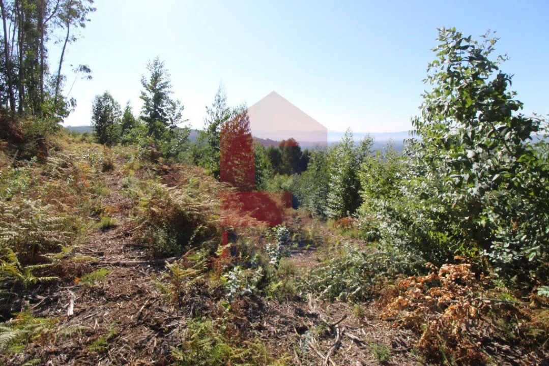 Terreno para Venda em Carreiras (São Miguel) e Carreiras (Santiago) Foto 11