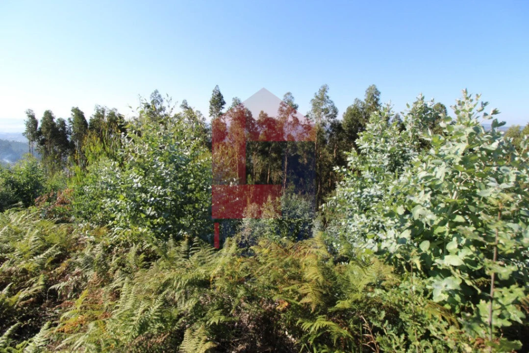 Terreno para Venda em Carreiras (São Miguel) e Carreiras (Santiago) Foto 6