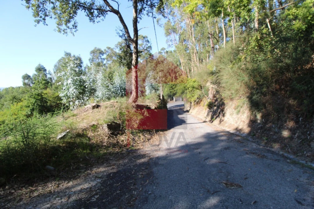 Terreno para Venda em Carreiras (São Miguel) e Carreiras (Santiago) Foto 21