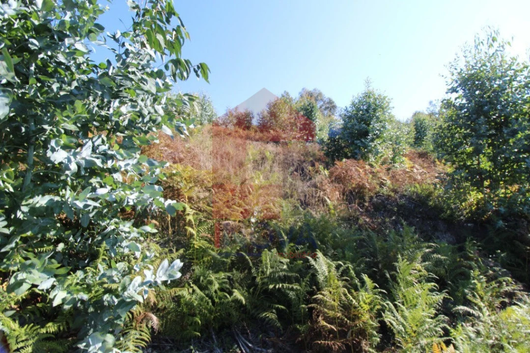 Terreno para Venda em Carreiras (São Miguel) e Carreiras (Santiago) Foto 7