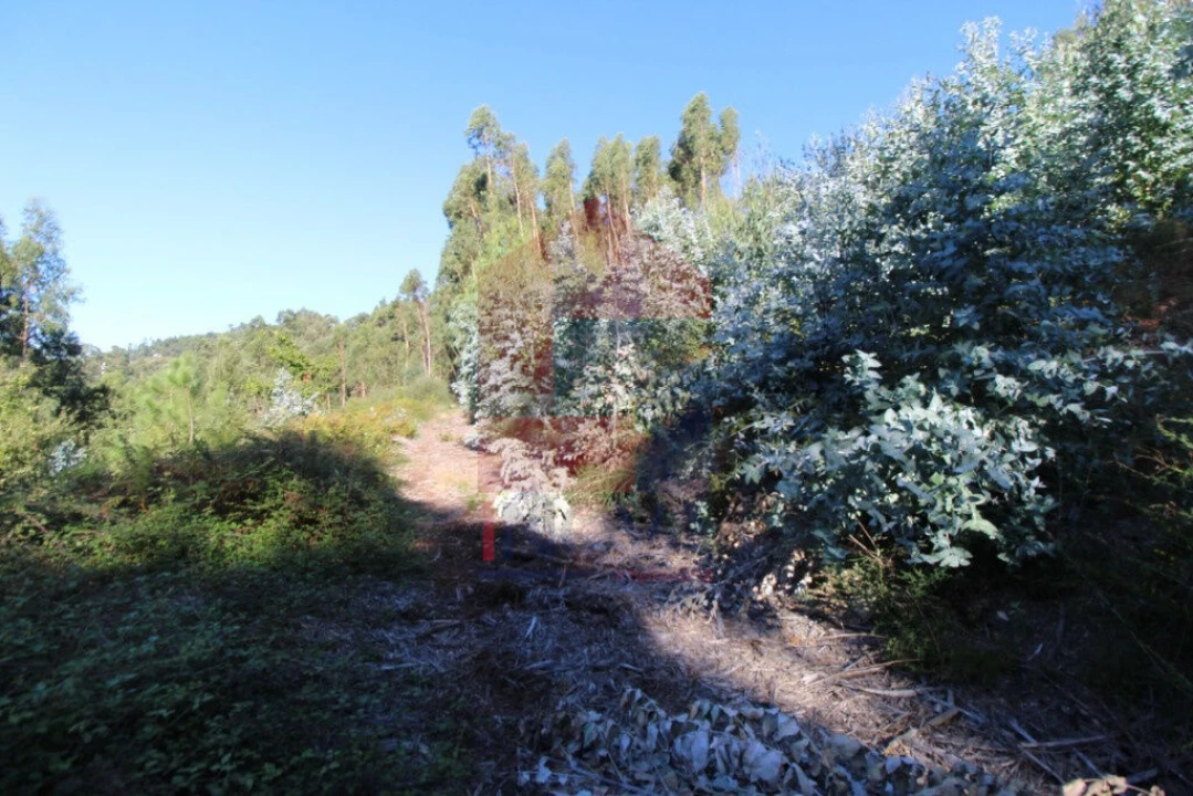 Terreno para Venda em Carreiras (São Miguel) e Carreiras (Santiago) Foto 16