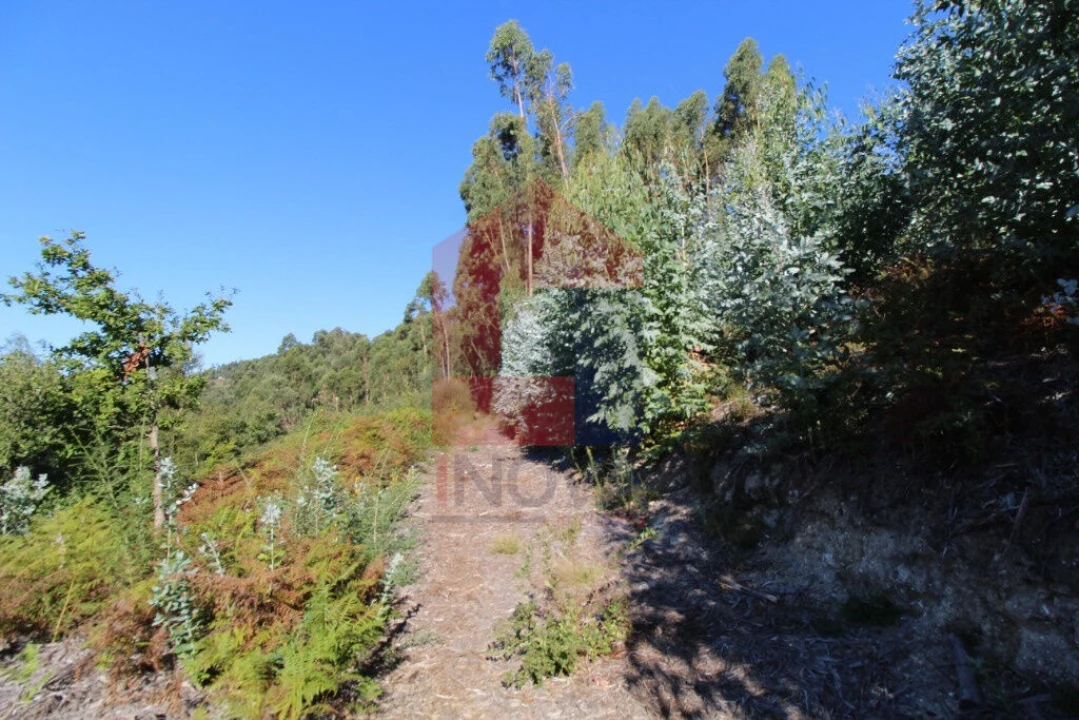Terreno para Venda em Carreiras (São Miguel) e Carreiras (Santiago) Foto 18