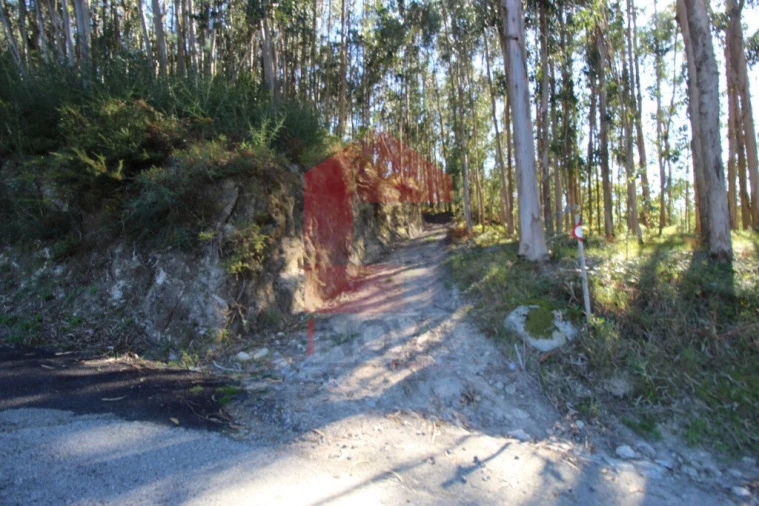 Terreno para Venda em Carreiras (São Miguel) e Carreiras (Santiago) Foto 23