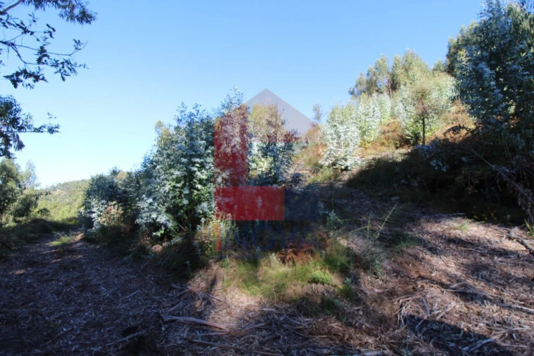 Terreno para Venda em Carreiras (São Miguel) e Carreiras (Santiago) Foto 15