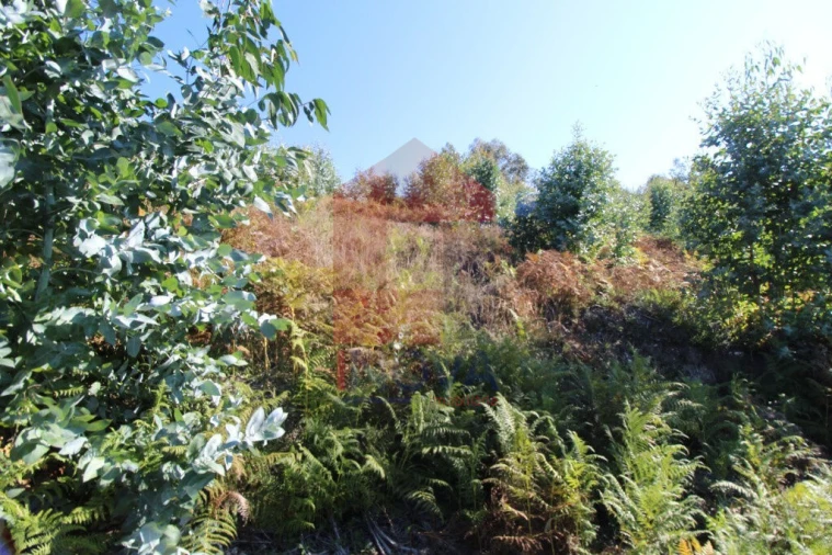 Terreno para Venda em Carreiras (São Miguel) e Carreiras (Santiago) Foto 7
