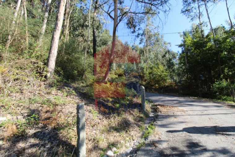 Terreno para Venda em Carreiras (São Miguel) e Carreiras (Santiago) Foto 22