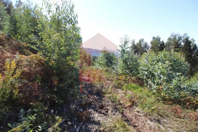 Terreno para Venda em Carreiras (São Miguel) e Carreiras (Santiago) Foto 9