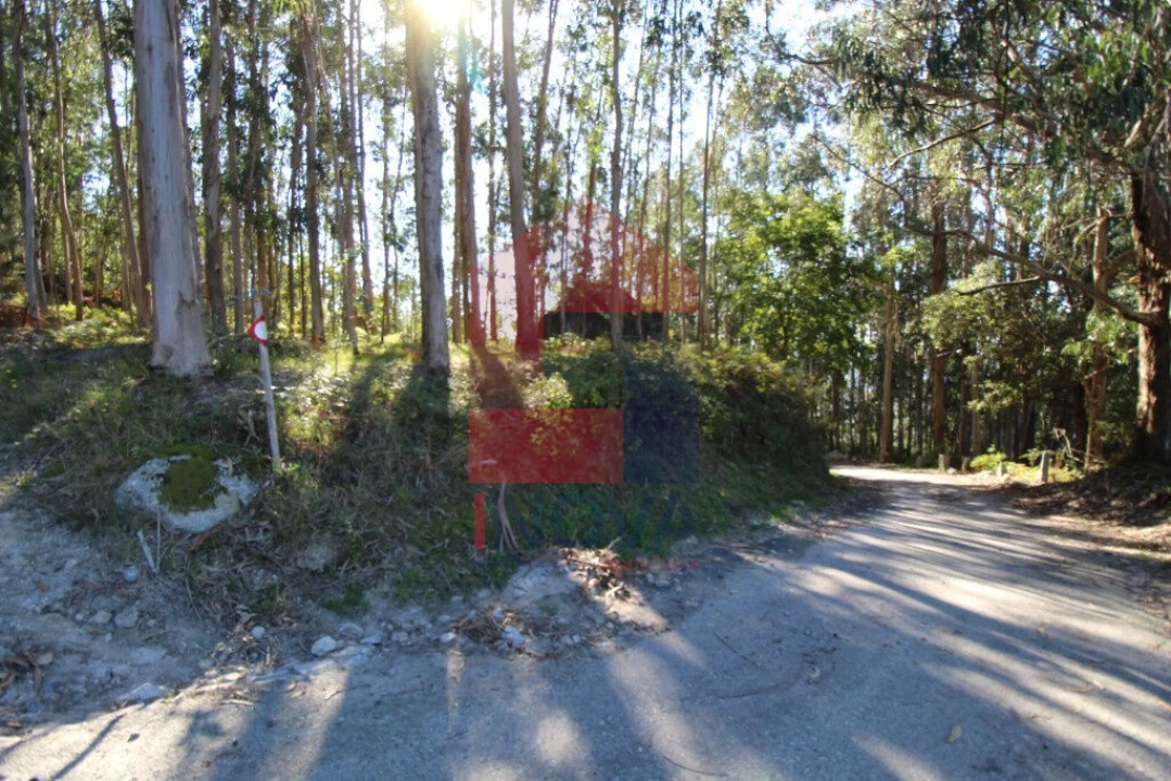 Terreno para Venda em Carreiras (São Miguel) e Carreiras (Santiago) Foto 24