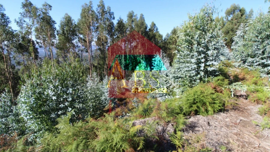Terreno para Venda em Carreiras (São Miguel) e Carreiras (Santiago)