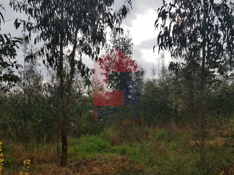 Terreno para Venda em Marrancos e Arcozelo Foto 5