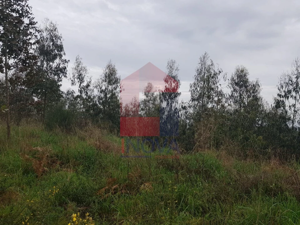 Terreno para Venda em Marrancos e Arcozelo Foto 4