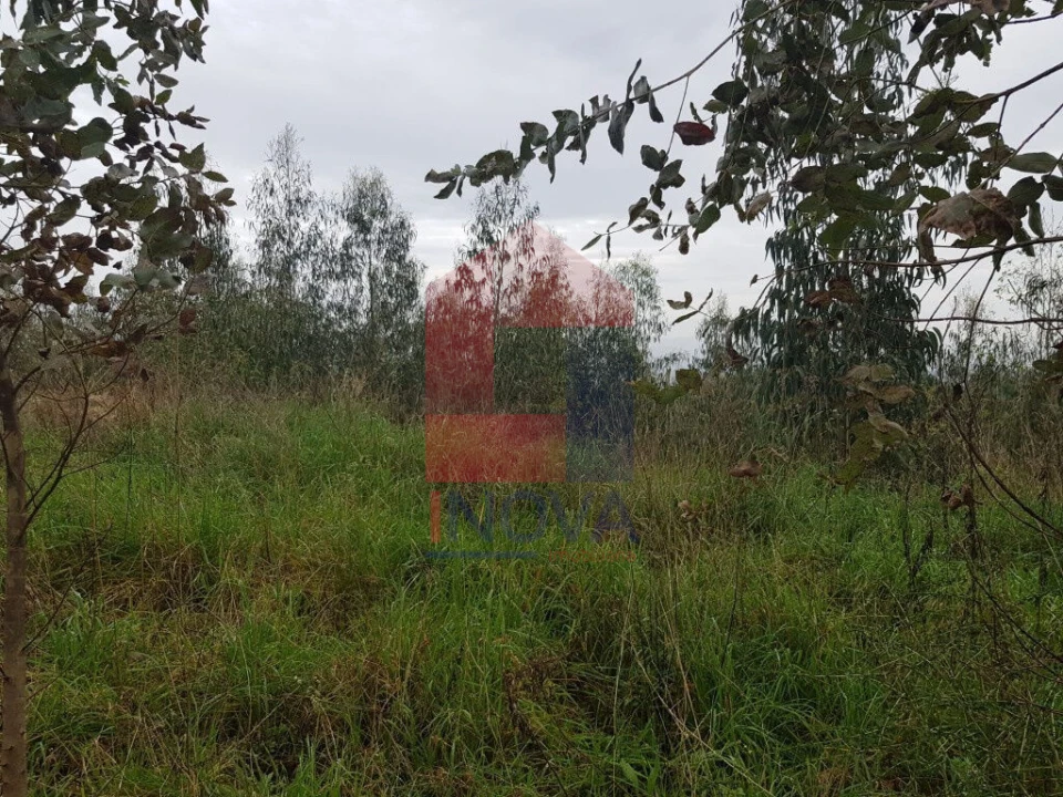 Terreno para Venda em Marrancos e Arcozelo Foto 7
