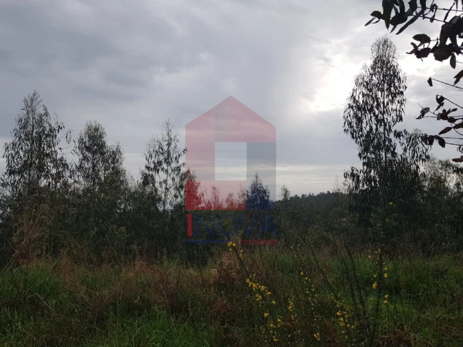 Terreno para Venda em Marrancos e Arcozelo Foto 8