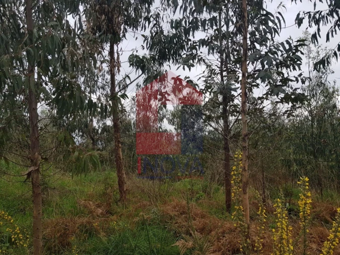 Terreno para Venda em Marrancos e Arcozelo Foto 6