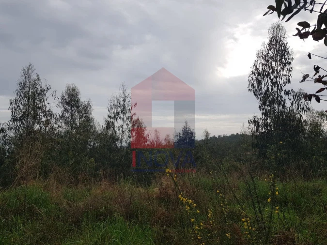 Terreno para Venda em Marrancos e Arcozelo Foto 3