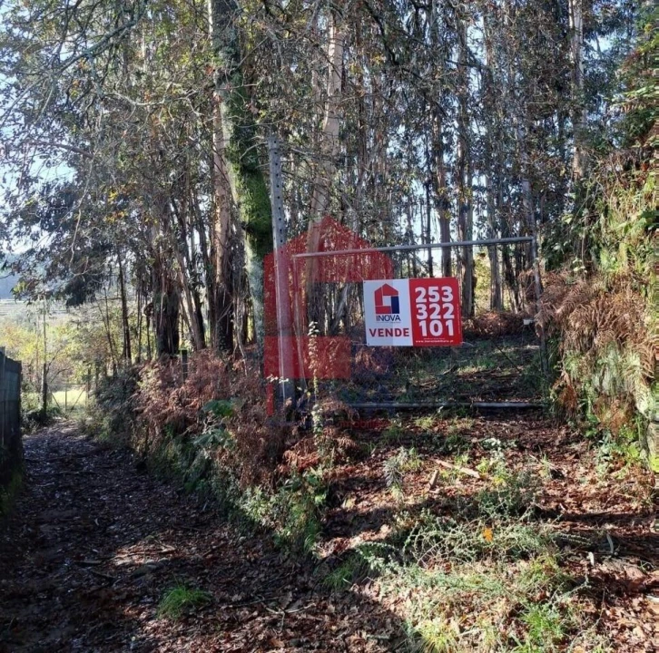 Terreno para Venda em Pico de Regalados, Gondiães e Mós Foto 8