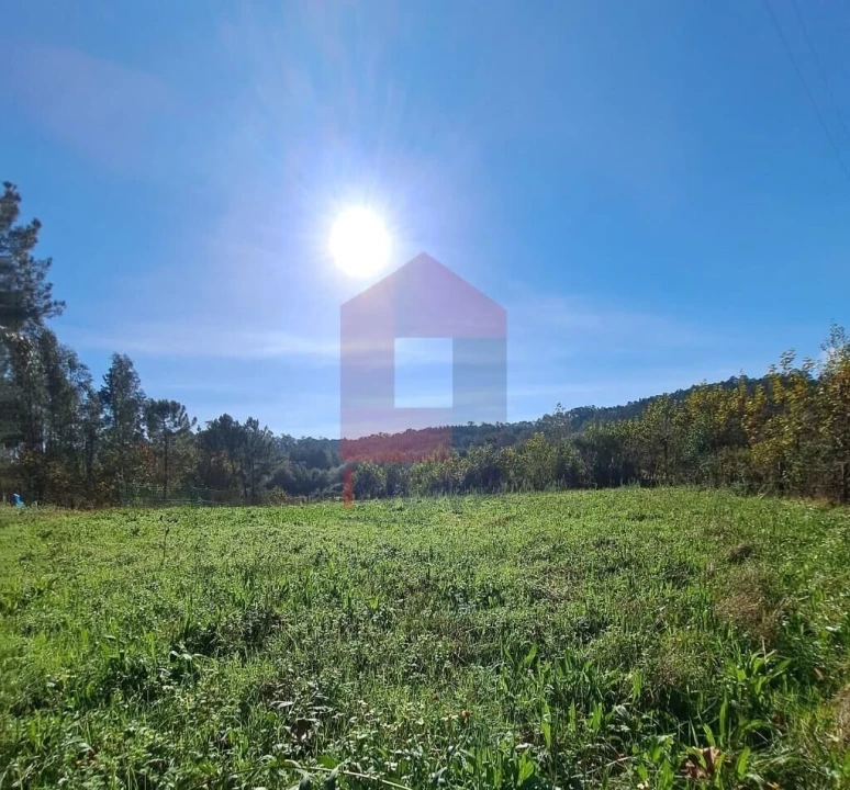 Terreno para Venda em Pico de Regalados, Gondiães e Mós Foto 2