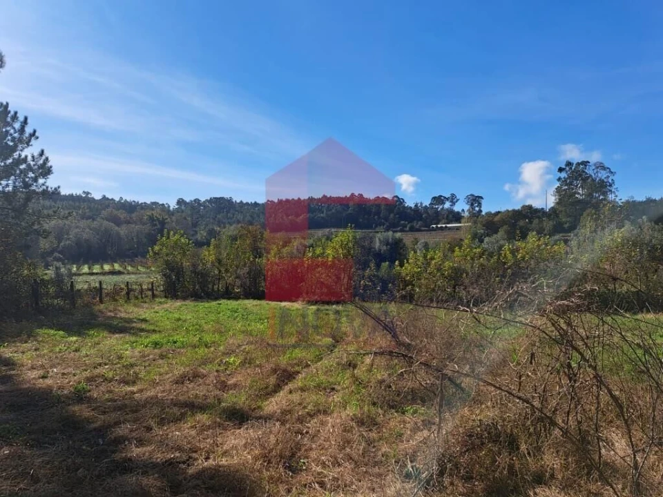 Terreno para Venda em Pico de Regalados, Gondiães e Mós Foto 7