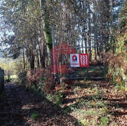 Terreno para Venda em Pico de Regalados, Gondiães e Mós Foto 8