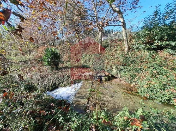 Terreno para Venda em Pico de Regalados, Gondiães e Mós Foto 6