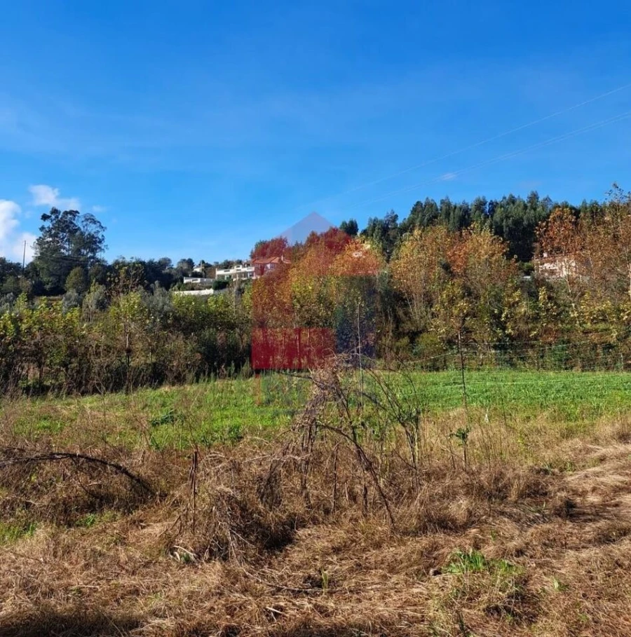 Terreno para Venda em Pico de Regalados, Gondiães e Mós Foto 4