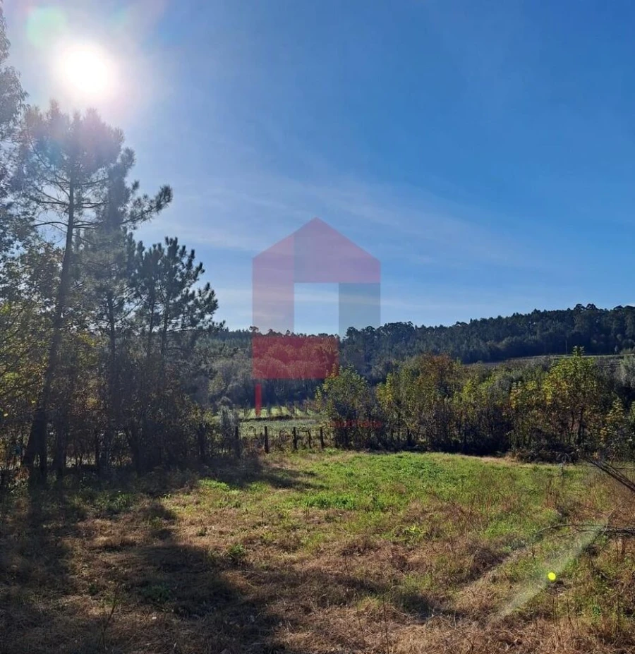 Terreno para Venda em Pico de Regalados, Gondiães e Mós Foto 3