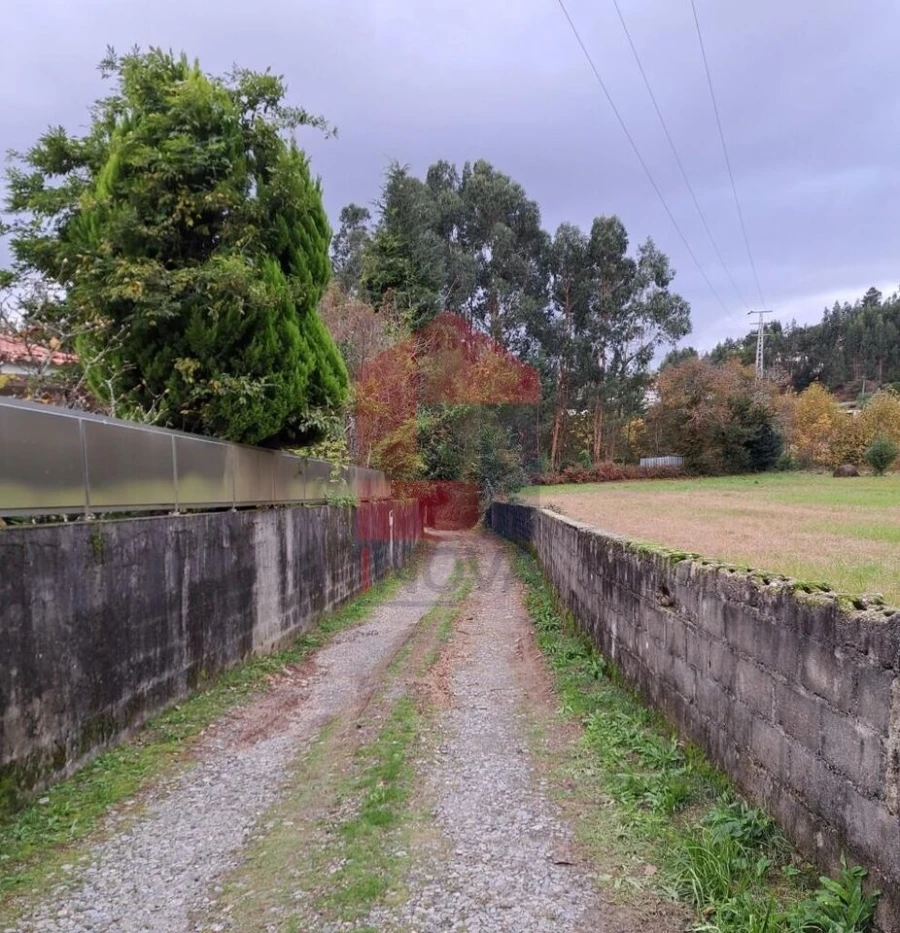 Terreno para Venda em Pico de Regalados, Gondiães e Mós Foto 9