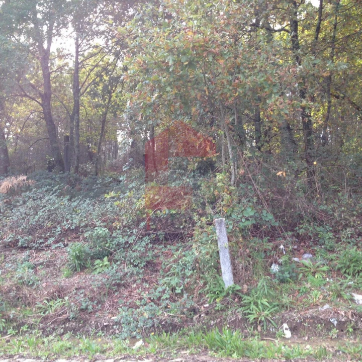 Terreno para Venda em Marrancos e Arcozelo Foto 4