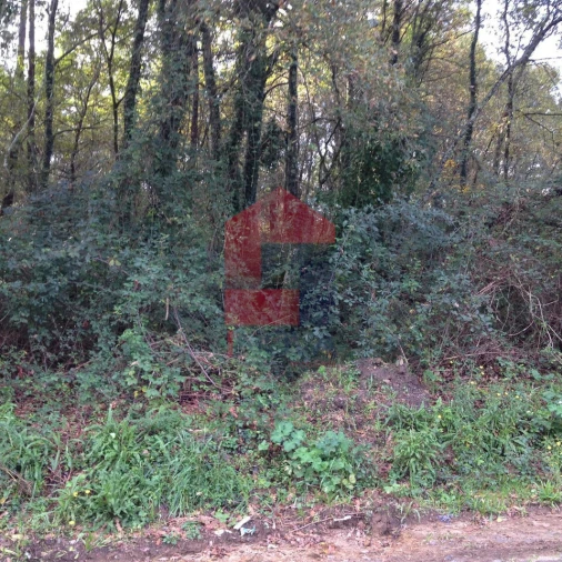 Terreno para Venda em Marrancos e Arcozelo Foto 3