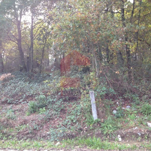 Terreno para Venda em Marrancos e Arcozelo Foto 4