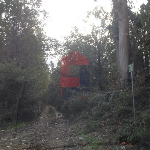 Terreno para Venda em Marrancos e Arcozelo Foto 2