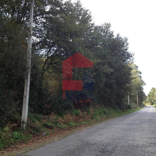 Terreno para Venda em Marrancos e Arcozelo