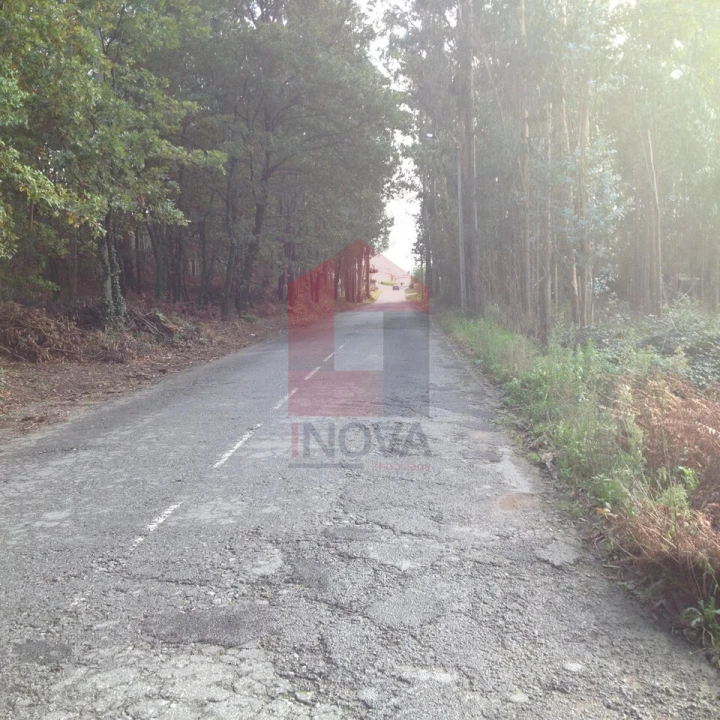 Terreno para Venda em Marrancos e Arcozelo Foto 5