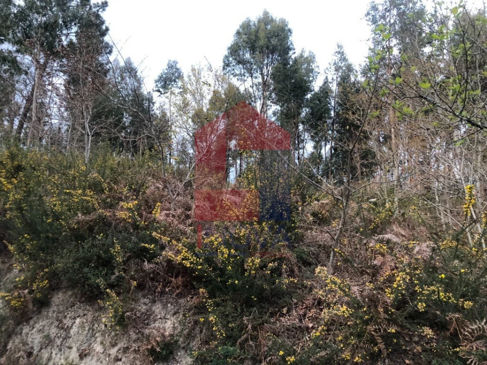 Terreno para Venda em Sande, Vilarinho, Barros e Gomide Foto 4