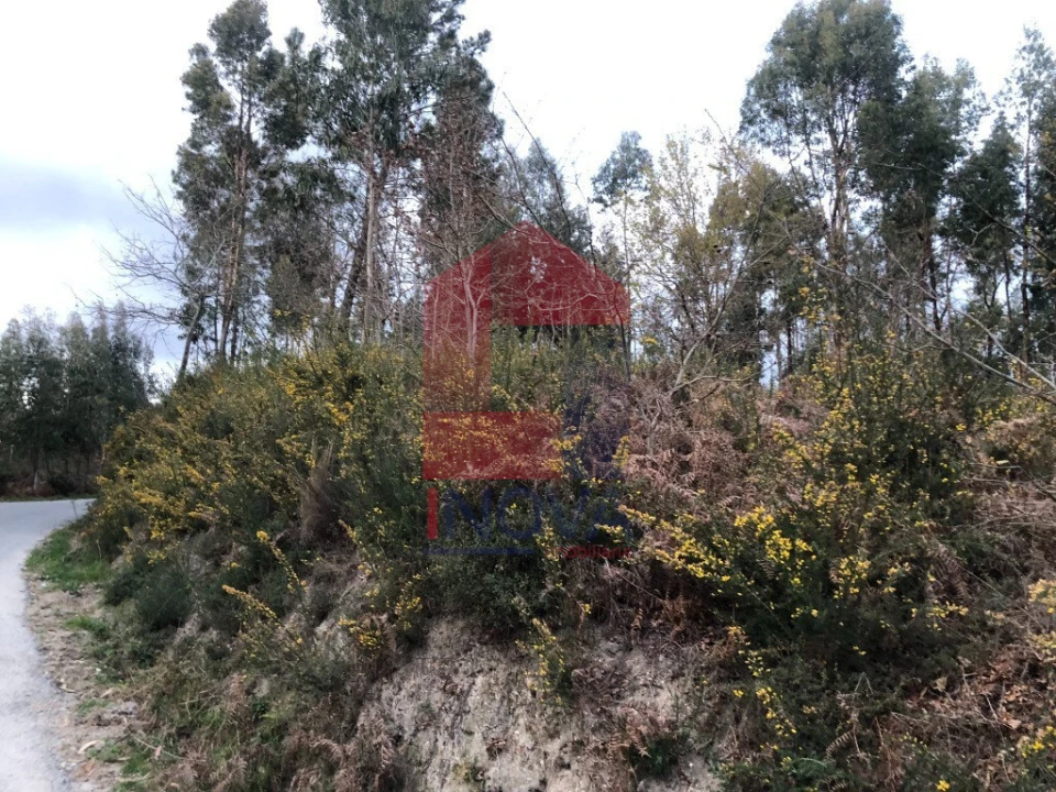 Terreno para Venda em Sande, Vilarinho, Barros e Gomide Foto 3